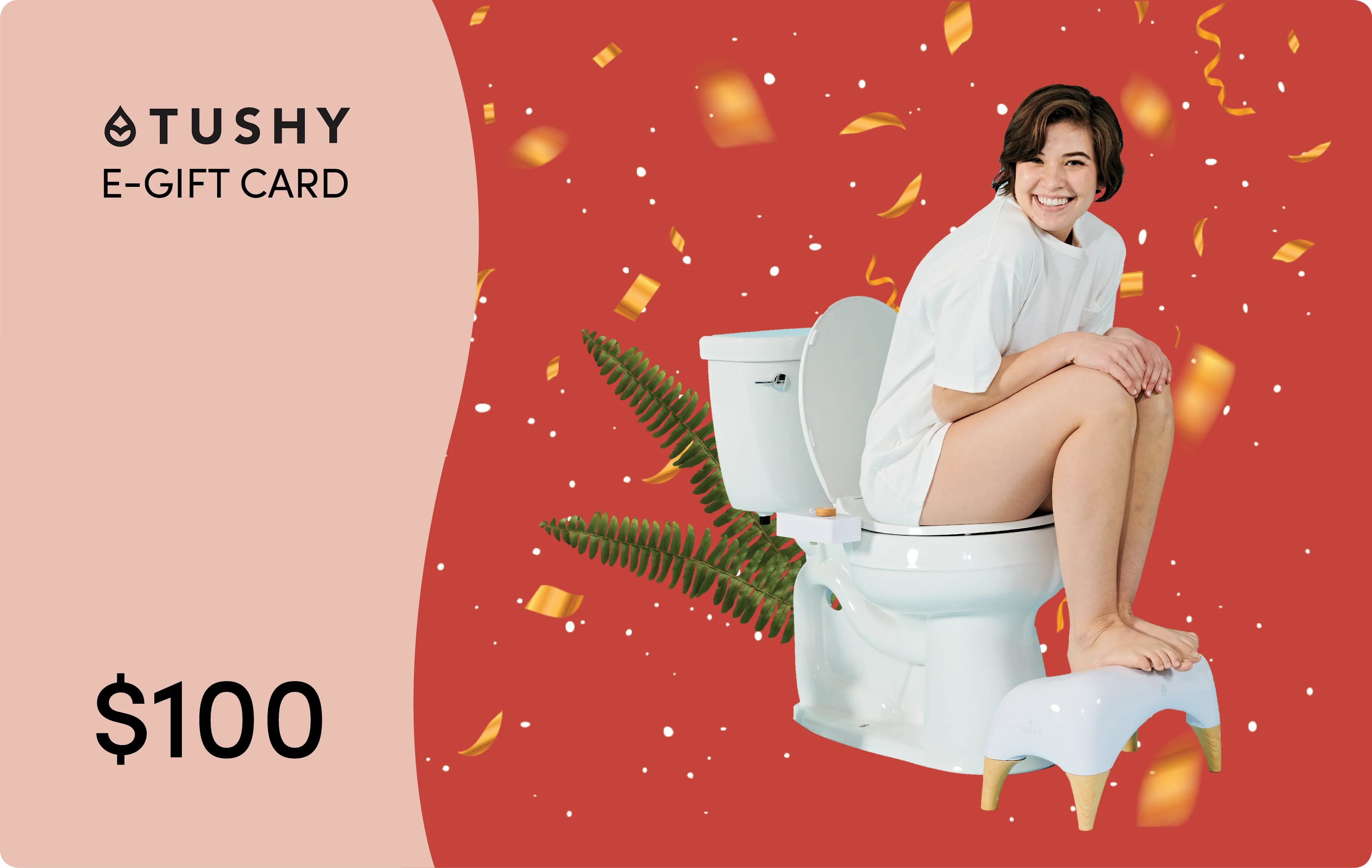 TUSHY E-Gift Cards - Image 7